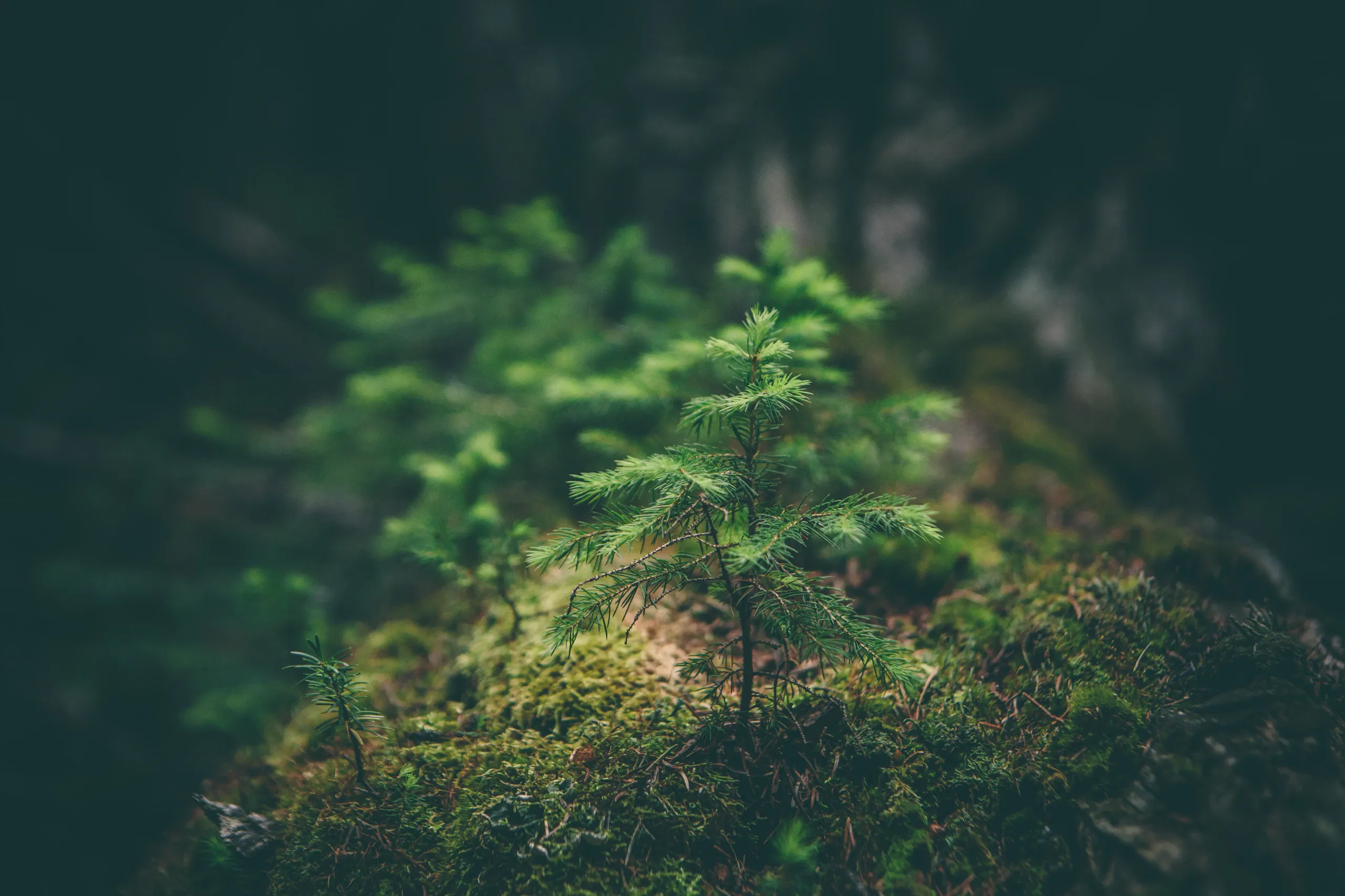 Uncovering Hidden Places